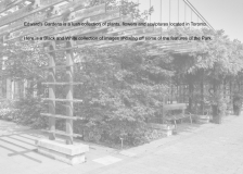 1-EG-Intro-001-