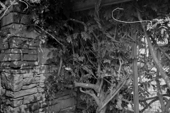 Edward-Garden-01
