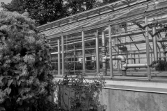 Edward-Garden-02