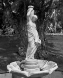 Edward-Garden-05