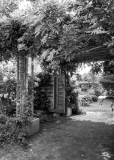 Edward-Garden-08