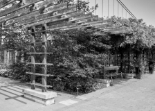 Edward-Garden-09