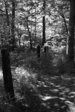 Guildwood-Inn-13
