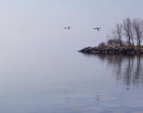 A-Misty-Afternoon-01